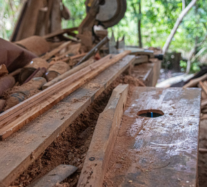 Cultura Nativa Shipping