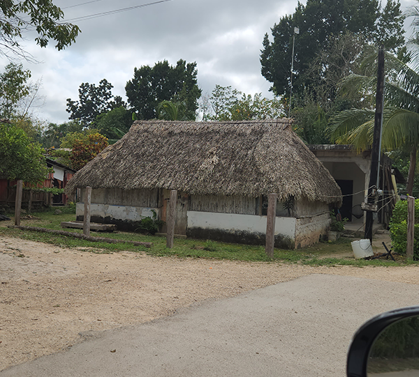 Cultura Nativa Shipping