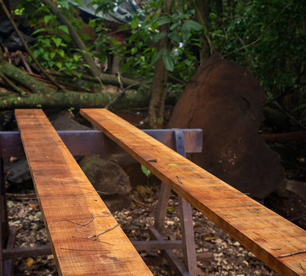 Cultura Nativa Shipping